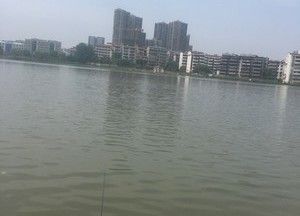 青砖湖