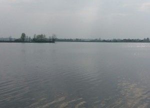 庆寿寺湖