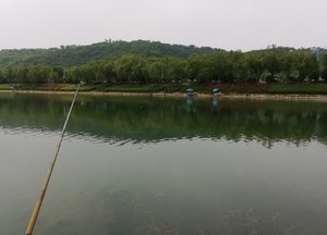 羊山湖