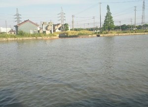 新张泾河