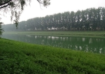 东海塘河