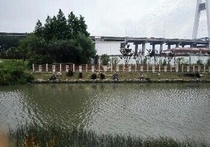 华泾港河