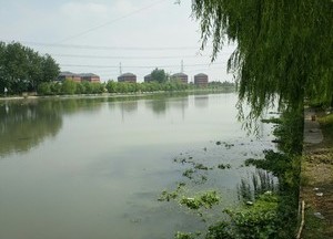 泗泾塘河
