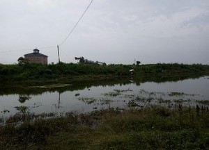 秀峰湖