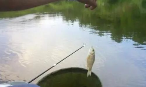 春天钓鱼技巧有哪些