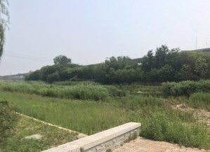 李村河