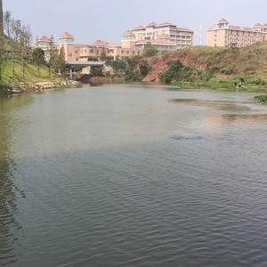 丽水琴湾河