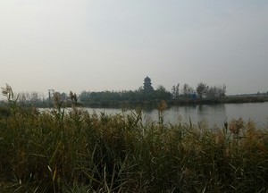 马踏湖大宽河
